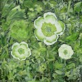 Tre blomster i ukrudt