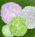 Blomsterbolde