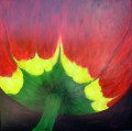 Tulip outside