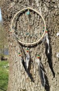 B�verens styrke ( 20 april - 20 maj)