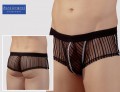 Boxer Briefs