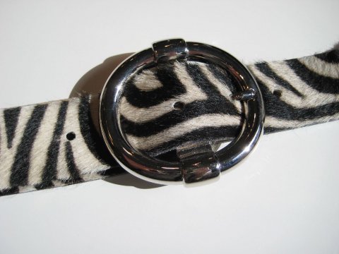 Zebra blte