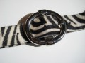 Zebra blte