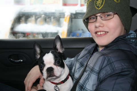min lillebror og lilly
