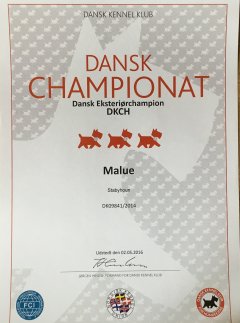 Malue - Dansk Championat