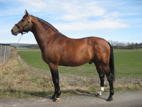 Othello Othello