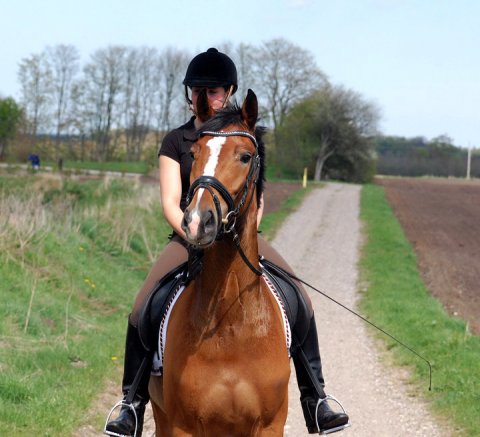 De Sign H - Maj 2010