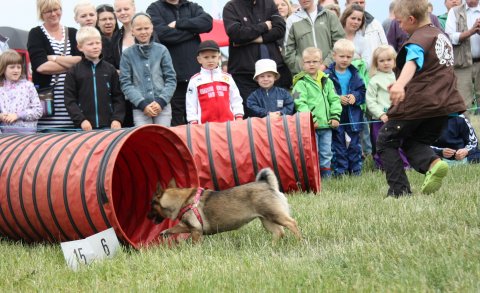 Mike og pipi
