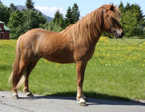 Taktur fra Stall Melle