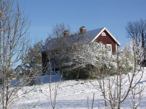Vinter i Granshult