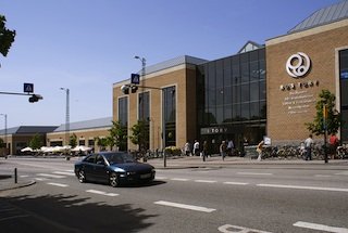 Ros Torv
