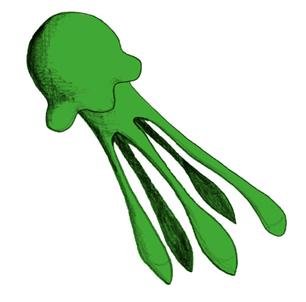 Squid