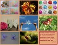 kreativit v�rksted