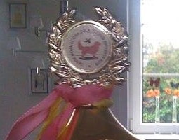 Tolleren Buffy i vandet