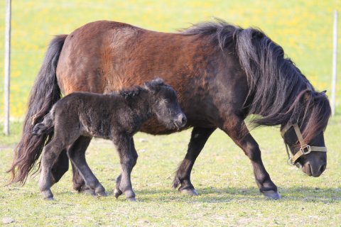 Bibiana 14 dage gammel
