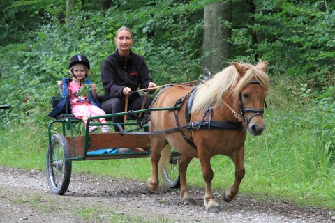 Lillebror p&aring; tur