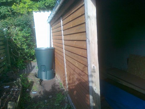 old woodshed