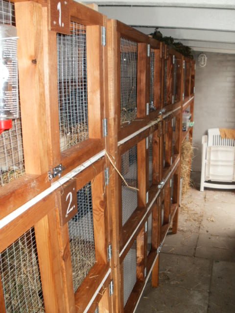 1-11 cages