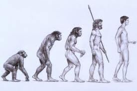 Evolution