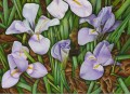 Iris i skovbund