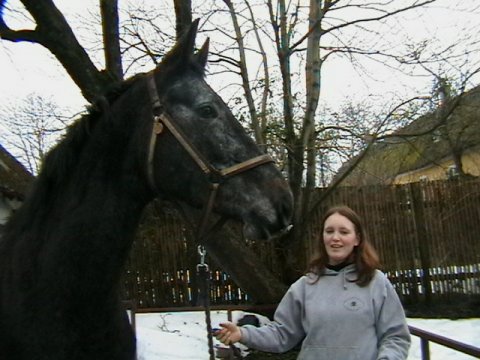 Kiki - 4 &aring;r - ved k&oslash;b