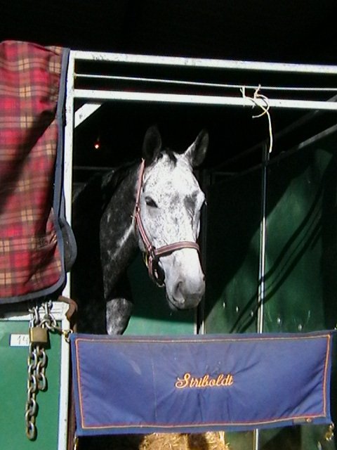 Kiki - Portugal 2010