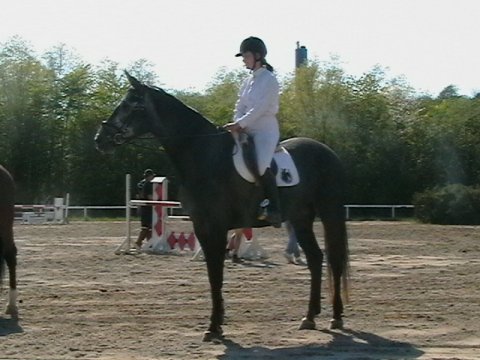 Kiki - Hedehusg&aring;rden