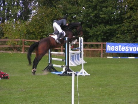 Nirvana-Vitz - Solr&oslash;d Rideklub