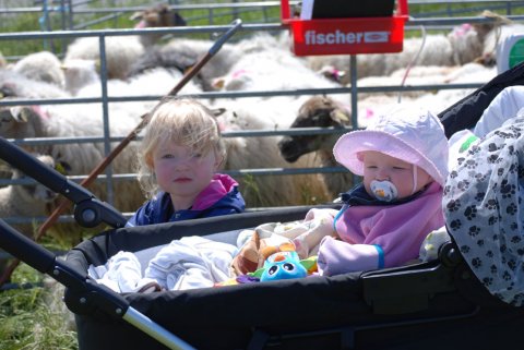 Pippi og Julie venter tålmodigt!