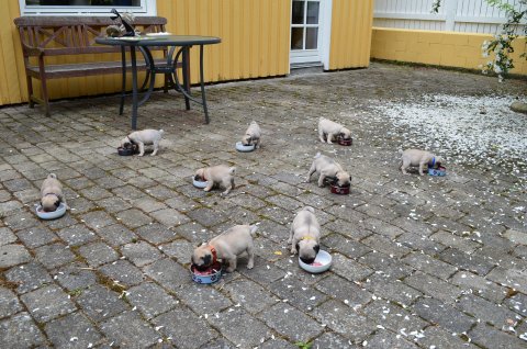 S&aring; er der linet p&aring; til mad