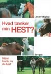 Hvad tnker min hest