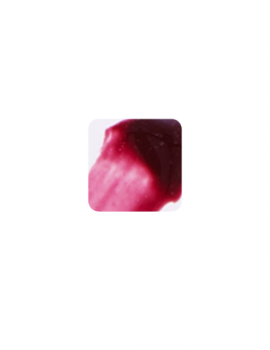 Sonya Lip Gloss
