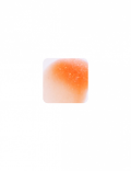 Sonya Lip Gloss