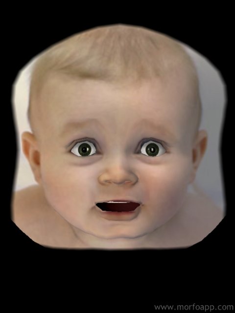morfo1