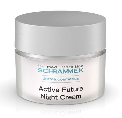 ACTIVE FUTURE NIGHT CREAM