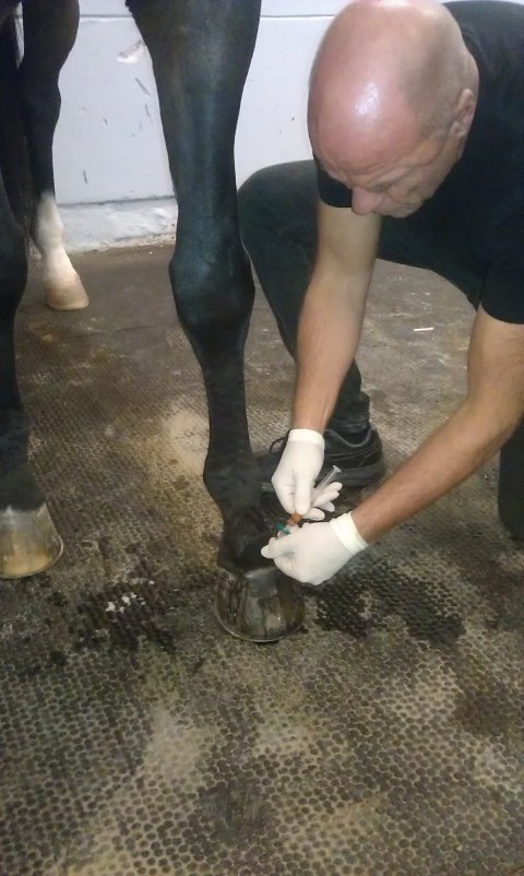 Behandling med IRAP i hovleddet.