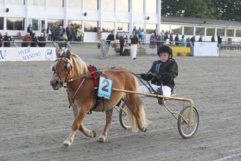 Manse og Oliver Jensen 8/8-2016