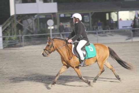 Zico C.C. og Frederik B. Kristensen