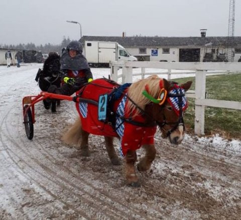 Ridder Laurits 11-02-2018