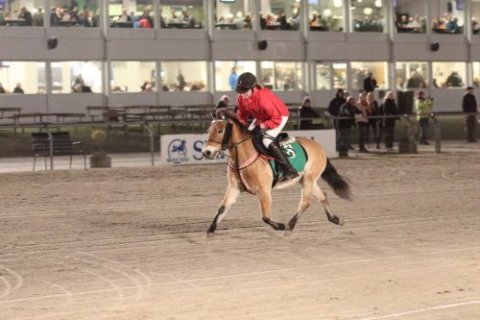 Kålmans Smurfen og Catrine Plejdrup vinder 1. ponyløb 29/10-2018