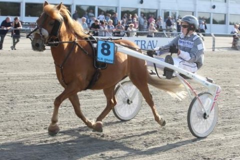 Djam og Magnus Nielsen 24-08-2016