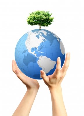 Agnethe Dalby - importance of the rainforest