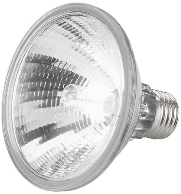 HISPOT-95FL PAR30 pre 75W