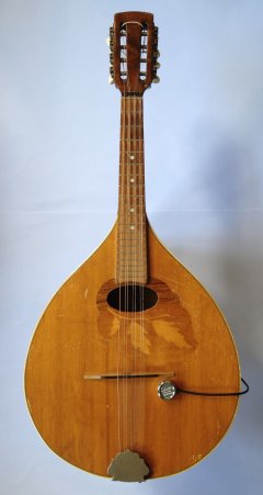 Mandolin