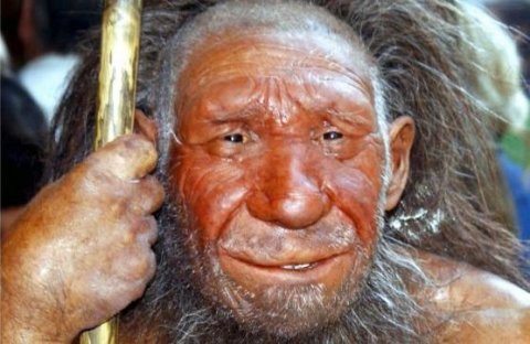 Homo neanderthalensis - Fortidsmenneske