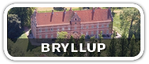 Cocktailbar til dit Bryllup