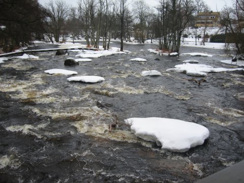 Mörrumsån - sneklædt
