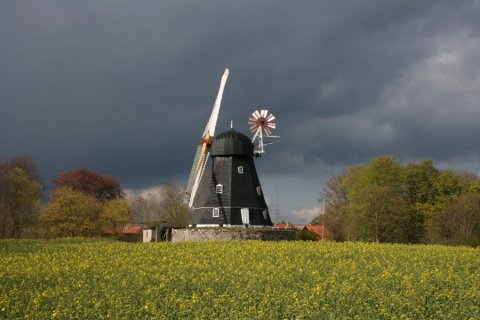Grubbe Mølle