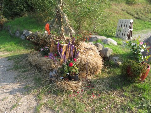 VM Blomster