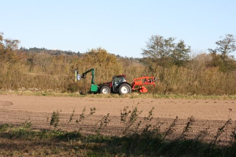 Klipning 30. oktober 2017